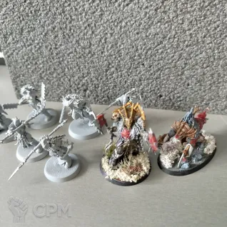 Описание картинки Claws of Karanak +карты от Artaрion по цене 1 500руб | Свободный Рынок Миниатюр - СРМ