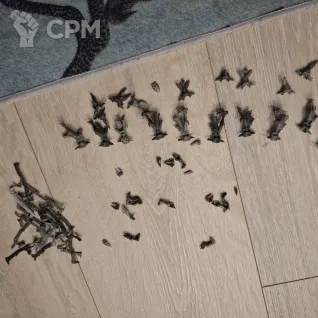 Описание картинки Набор друкхари от Skupra по цене 1 000руб | Свободный Рынок Миниатюр - СРМ