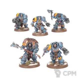 Описание картинки Wolf Guard Terminators от MiniTrilobite по цене 350руб | Свободный Рынок Миниатюр - СРМ