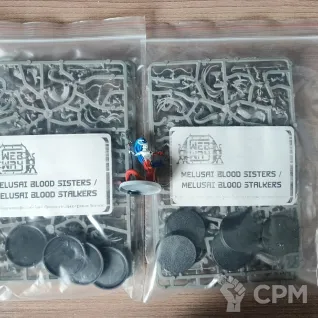 Описание картинки Melusai Blood Sisters 10x от Midke по цене 100руб | Свободный Рынок Миниатюр - СРМ