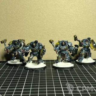 Описание картинки Wolf Guard Terminators от Etogetto по цене 100руб | Свободный Рынок Миниатюр - СРМ