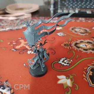 Описание картинки Freeguild Command Corps от Thunder79 по цене 100руб | Свободный Рынок Миниатюр - СРМ