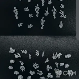 Описание картинки Набор кактусов от Логово Каракатицы  по цене 100руб | Свободный Рынок Миниатюр - СРМ