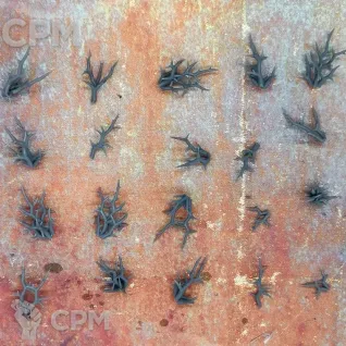 Описание картинки Колючие кусты от Логово Каракатицы  по цене 100руб | Свободный Рынок Миниатюр - СРМ