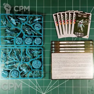 Описание картинки Thorns of the Briar Queen от Vault Boy по цене 100руб