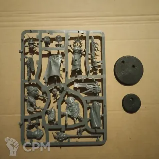 Описание картинки Lord-Veritant with Gryph-crow от Black Legion Hall по цене 500руб | Свободный Рынок Миниатюр - СРМ