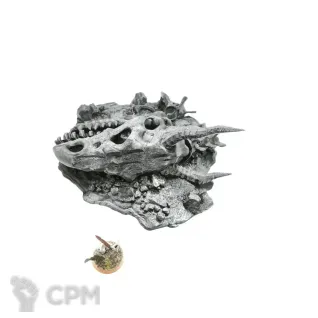 Описание картинки Скелет дракона (череп) от Rev127 по цене 300руб | Свободный Рынок Миниатюр - СРМ