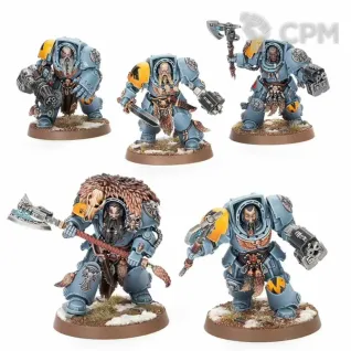 Описание картинки Wolf Guard Terminators (2025) Полный Скан. Базы и головы в комплекте. от WastelandMiniatures по цене 700руб | Свободный Рынок Миниатюр - СРМ