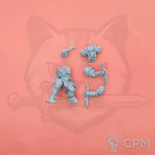 Описание картинки Space Wolves Lieutenant In Phobos Armour от  по цене 100руб | Свободный Рынок Миниатюр - СРМ