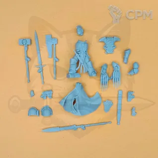 Описание картинки Champion with different weapons от  по цене 100руб | Свободный Рынок Миниатюр - СРМ