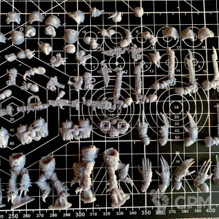 Описание картинки Raptors от R.E.print по цене 600руб | Свободный Рынок Миниатюр - СРМ