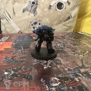 Описание картинки Heavy intercessors в грунте от  по цене 1 000руб | Свободный Рынок Миниатюр - СРМ
