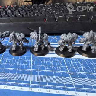Описание картинки 5-ка Einhyr Hearthguard от Hiterion по цене 300руб | Свободный Рынок Миниатюр - СРМ