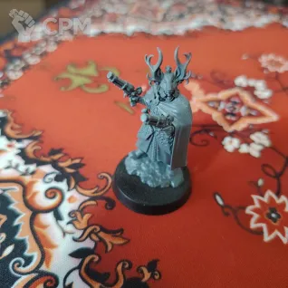 Описание картинки Freeguild Marshal and Relic Envoy от Thunder79 по цене 100руб | Свободный Рынок Миниатюр - СРМ