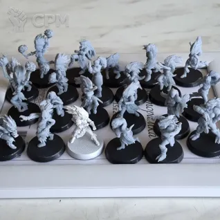 Описание картинки Amazons Team от Freytir по цене 100руб | Свободный Рынок Миниатюр - СРМ