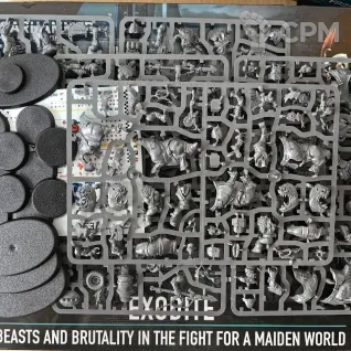 Описание картинки Kill Team Exodite Ork NPO (Beast Snagga Boys and Squighog Boyz) от Defiler по цене 100руб | Свободный Рынок Миниатюр - СРМ