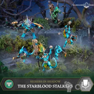 Описание картинки Starblood Seekers от Light Cellar по цене 100руб | Свободный Рынок Миниатюр - СРМ