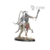 Описание картинки Набор миниатюр Warhammer Warcry: Teratic Cohort от Дауран по цене 5 800руб | Свободный Рынок Миниатюр - СРМ - изображение - №6