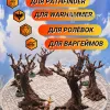 Описание картинки Террейн ДнД "Зловещие деревья" (0037) от Студия  по цене 1 200руб | Свободный Рынок Миниатюр - СРМ - изображение - №3