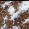 Описание картинки Игровое поле Последний снег bm044 60"х44" от WargamePrint по цене 2 450руб | Свободный Рынок Миниатюр - СРМ - изображение - №2