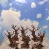 Описание картинки Террейн ДнД "Зловещие деревья" (0037) от Студия  по цене 1 200руб | Свободный Рынок Миниатюр - СРМ - изображение - №6