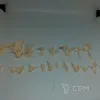 Описание картинки Fern Plants от Орки с наГорки по цене 150руб | Свободный Рынок Миниатюр - СРМ - изображение - №2