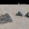 Описание картинки Онагры 8мм от Desert_Witch по цене 600руб | Свободный Рынок Миниатюр - СРМ - изображение - №2
