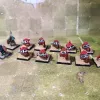 Описание картинки Армия Orcs &amp; Goblins от svuuum по цене 25 000руб | Свободный Рынок Миниатюр - СРМ - изображение - №5