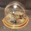 Описание картинки Иранская пехота 1/72 от Hanse по цене 1 399руб | Свободный Рынок Миниатюр - СРМ - изображение - №4