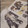 Описание картинки Мир игры Overwatch от A1rCrash#33 по цене 6 000руб | Свободный Рынок Миниатюр - СРМ - изображение - №5
