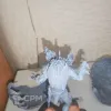 Описание картинки Kairos fateweaver от Enforcer544 по цене 2 000руб | Свободный Рынок Миниатюр - СРМ - изображение - №2