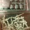 Описание картинки Classic Empire Captains от Amelio по цене 8 000руб | Свободный Рынок Миниатюр - СРМ - изображение - №2