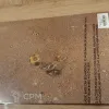 Описание картинки kill team баррикады, токены, поля от Wanderer по цене 1 500руб | Свободный Рынок Миниатюр - СРМ - изображение - №4