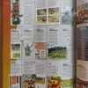 Описание картинки White Dwarf № 500 (UK) от Red Ember по цене 2 000руб | Свободный Рынок Миниатюр - СРМ - изображение - №4