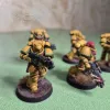 Описание картинки Intercessor Squad №3 от Nahag по цене 1 600руб | Свободный Рынок Миниатюр - СРМ - изображение - №2