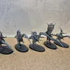 Описание картинки Seekers of Slaanesh x5 от Andrew_F по цене 3 100руб | Свободный Рынок Миниатюр - СРМ - изображение - №2
