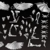 Описание картинки Scourges (scan) от badmorning по цене 800руб | Свободный Рынок Миниатюр - СРМ - изображение - №2