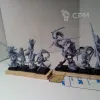 Описание картинки Боевые Танцоры__Wardancers (TOW) / Blade Dancers (T9A) - 16 шт. от Syryus по цене 4 800руб | Свободный Рынок Миниатюр - СРМ - изображение - №2