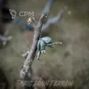 Описание картинки 8 баз с останками деревьев ✠ TRENCH CRUSADE ✠ 1-2-ая мировая от Big Brain Terrain по цене 1 950руб | Свободный Рынок Миниатюр - СРМ - изображение - №3