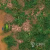 Описание картинки Игровое поле "Джунгли" bm024a 6'х4' от WargamePrint по цене 3 450руб | Свободный Рынок Миниатюр - СРМ - изображение - №2