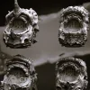 Описание картинки Blightlord Terminators - альт (отряд 5 моделей) от Магазин Альфария по цене 900руб | Свободный Рынок Миниатюр - СРМ - изображение - №2