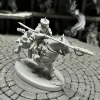 Описание картинки Attilan-Rough-Riders от Houston Program по цене 850руб | Свободный Рынок Миниатюр - СРМ - изображение - №4