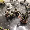 Описание картинки Армия ORKS от Alex_GZ по цене 50 000руб | Свободный Рынок Миниатюр - СРМ - изображение - №4