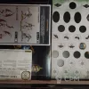 Описание картинки Flesh-Eater Courts из набора Carrion Empire от FineZza по цене 100руб | Свободный Рынок Миниатюр - СРМ - изображение - №6