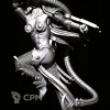 Описание картинки Sisters of Slaughter with Bladed Bucklers от Магазин Альфария по цене 1 000руб | Свободный Рынок Миниатюр - СРМ - изображение - №4