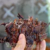 Описание картинки Труповозка Супер-мутантов  | Fallout: Wasteland Warfare от Big Brain Terrain по цене 2 750руб | Свободный Рынок Миниатюр - СРМ - изображение - №2