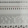 Описание картинки Transfer Sheet Salamanders от ССП по цене 1 800руб | Свободный Рынок Миниатюр - СРМ - изображение - №6