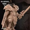 Описание картинки Alliance High King Warrior от PocketSized Prints по цене 220руб | Свободный Рынок Миниатюр - СРМ - изображение - №2