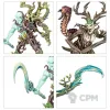 Описание картинки Regiment of Renown SYLVANETH: THE TWISTED BRANCH от Дауран по цене 6 000руб | Свободный Рынок Миниатюр - СРМ - изображение - №6