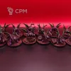 Описание картинки StarCraft Zerg Swarm — Kerrigan, 12 Raptors, 3 Roaches, 2 Hydralisks — 3D SLA, покрас от Жидкий Пират по цене 12 000руб | Свободный Рынок Миниатюр - СРМ - изображение - №9